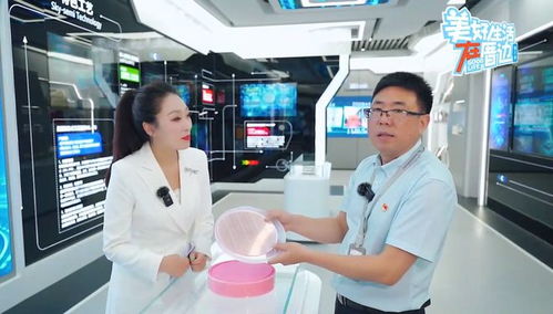 沖向2025年 300G競(jìng)速下的移動(dòng)通訊新紀(jì)元
